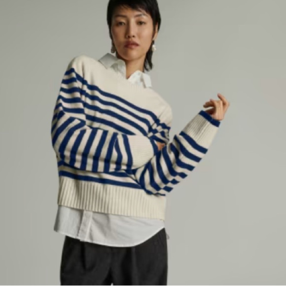 EUC Everlane Cashmere Boxy Crew